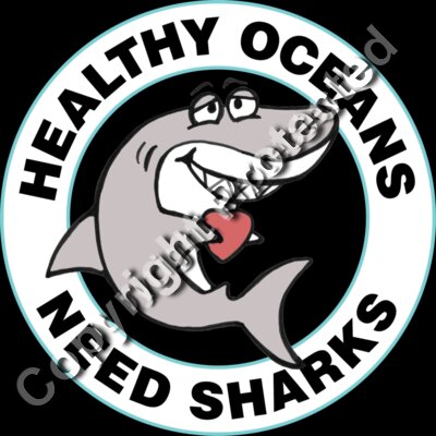 Shark logo for teal